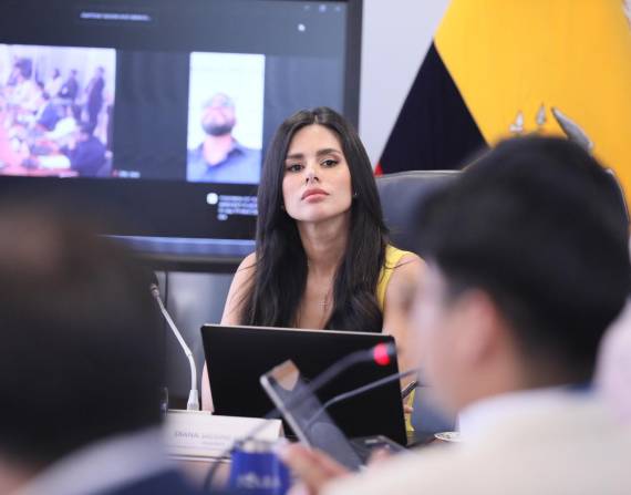 Imagen de Diana Jácome, presidenta de la Comisión de Transparencia de la Asamblea Nacional.