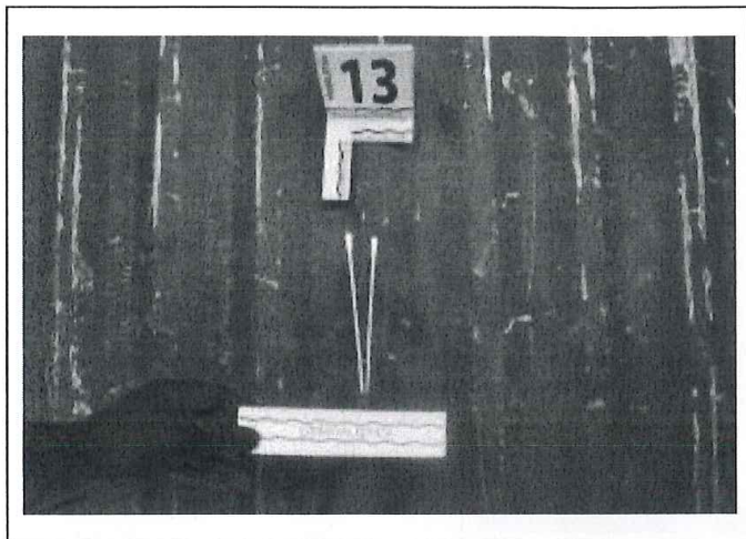 La Policía realizó pruebas de luminol en las camionetas. En una de ellas, se hallaron rastros de sangre, según el expediente fiscal.