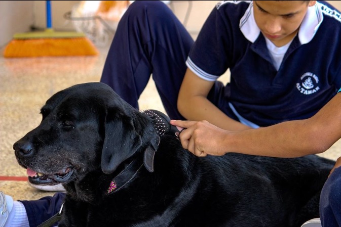Canoterapia, más que un amigo
