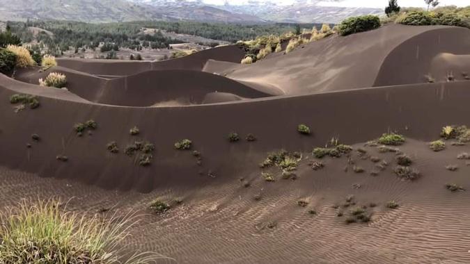 Palmira es el único desierto de Ecuador que florece en medio de la adversidad