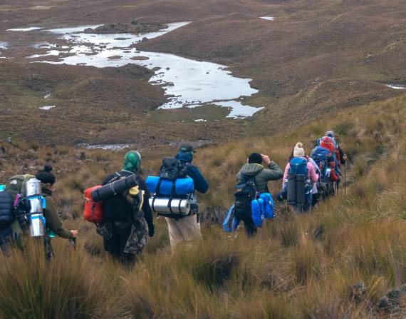 El boom de visitantes locales en las áreas naturales del país, también puede traer riesgos para la naturaleza.