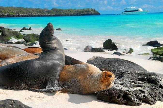 Las Islas Galápagos son mundialmente reconocidas por su biodiversidad.