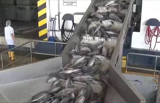 Ecuador consolida su liderazgo pesquero con un crecimiento del 20 % en exportaciones durante 2024