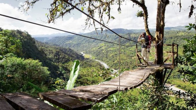 National Geographic destaca a Mindo como un destino para observar aves