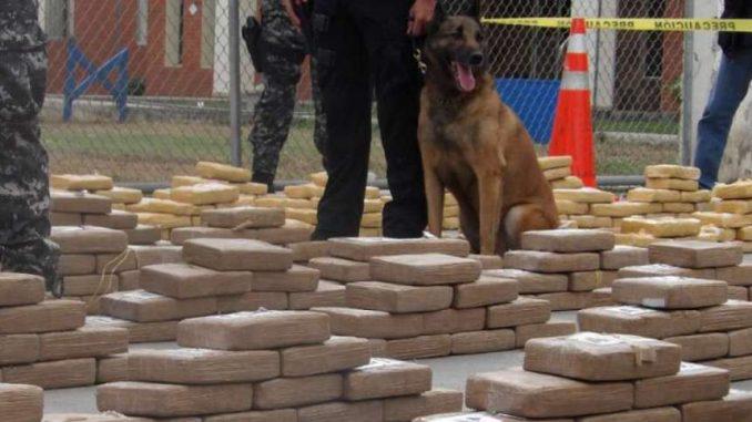 Incautan en Ecuador más de dos toneladas de cocaína que iban a España e India