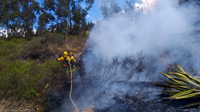 Bomberos atienden incendio forestal al norte de Quito