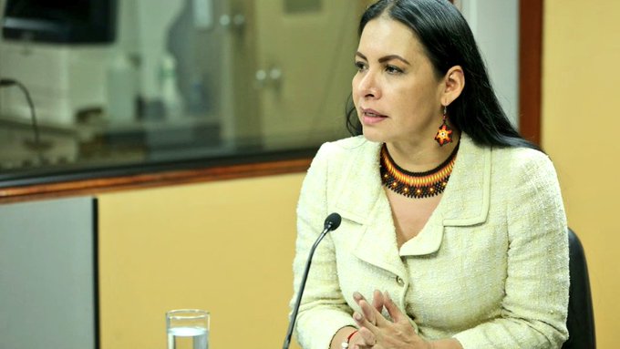 Comisión de Fiscalización acepta pedido de juicio a presidenta de CNE