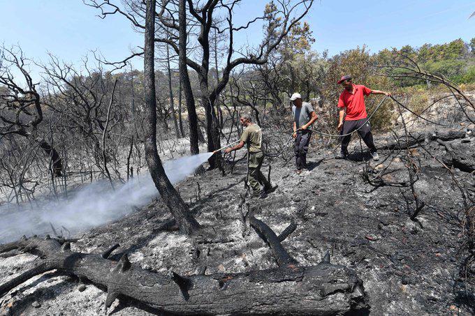 Escombros de uno de los incendios en Argelia.