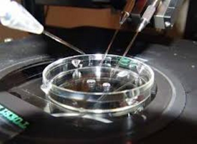 Cómo será el futuro de la medicina reproductiva