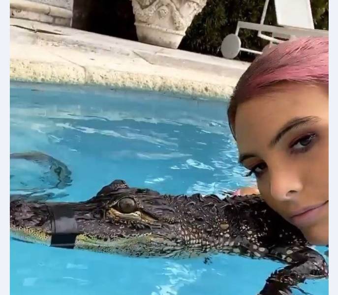 Acusan a Lele Pons y Guaynaa de maltratar a un lagarto