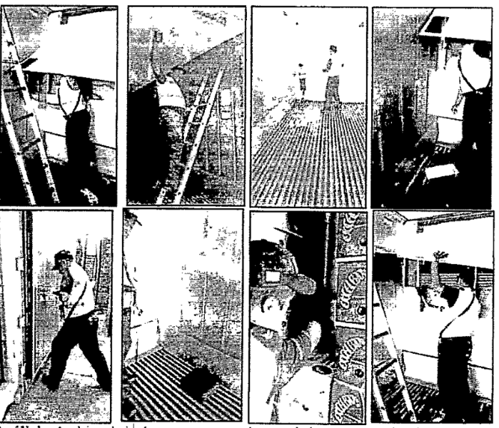 Según el expediente, uno de los implicados envió fotos de cómo se realizan las inspecciones antidrogas en los contendores de exportación.