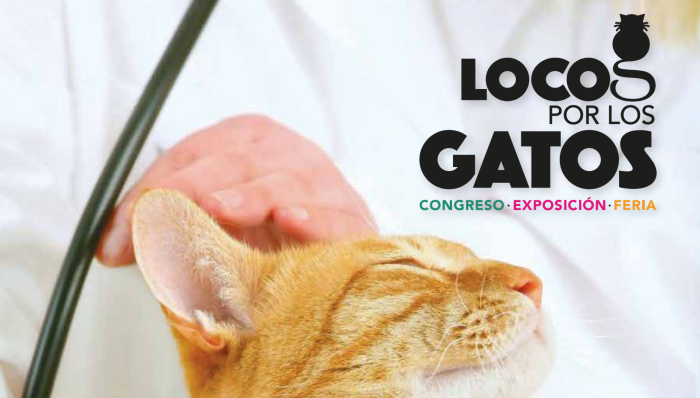 Congreso, feria y charlas para veterinarios y &quot;locos&quot; por gatos