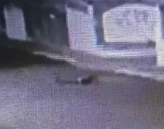 Un hombre quedó tendido sobre la calzada luego de que delincuentes le robaran su vehículo.