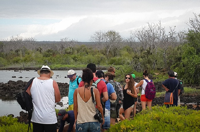 Más de 800 negocios turísticos en Galápagos para Navidad
