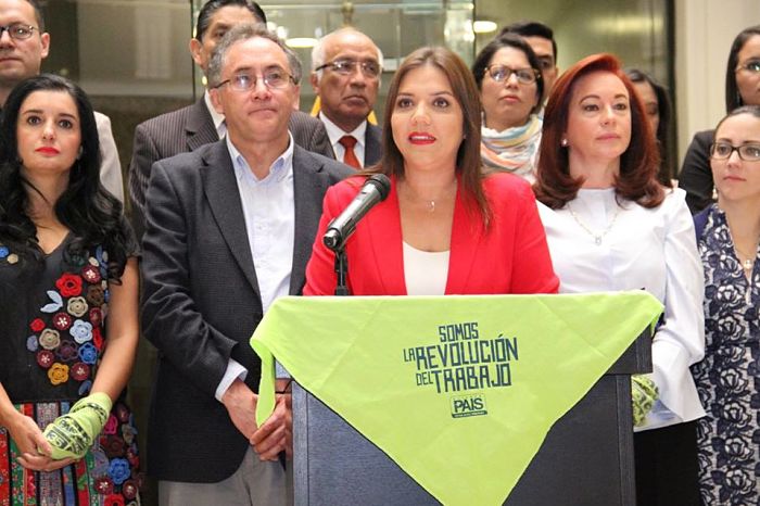 Glas no pidió formalmente las vacaciones, según María Alejandra Vicuña