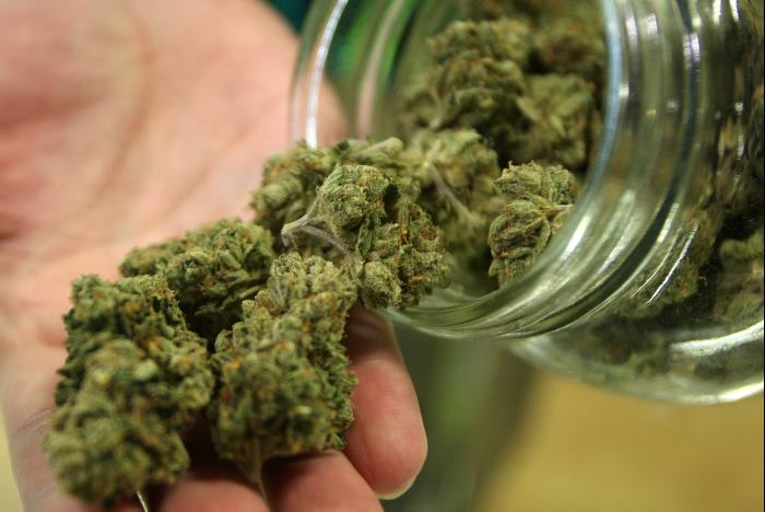 Florida no aprueba el uso medicinal de la marihuana
