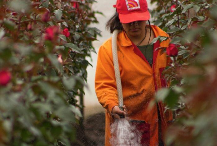 El intercambio comercial entre Rusia y Ecuador crece 28,8 % en 2021