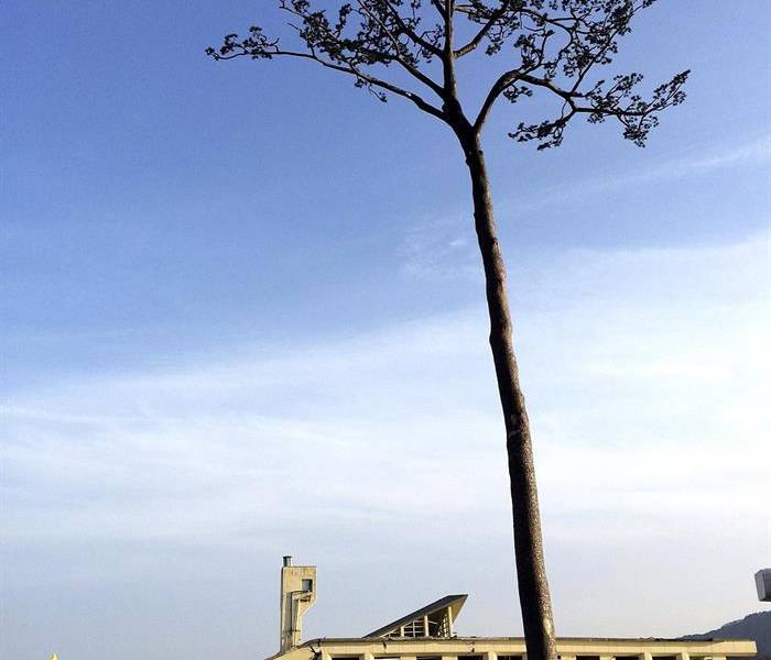 Iwate, la región olvidada bajo la sombra del tsunami