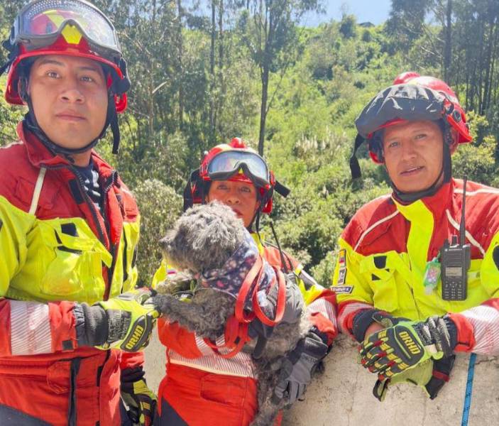 Rescate de un perro en San Juan, centro de Quito