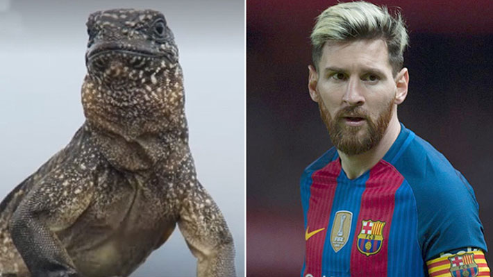 La insólita comparación de Messi con una iguana que da la vuelta al mundo