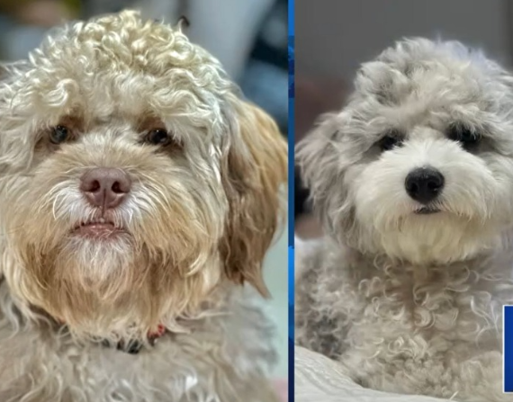 Captura de pantalla.