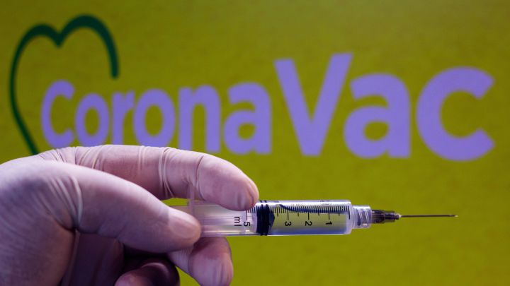Brasil recibe el primer lote de la vacuna china contra la covid-19