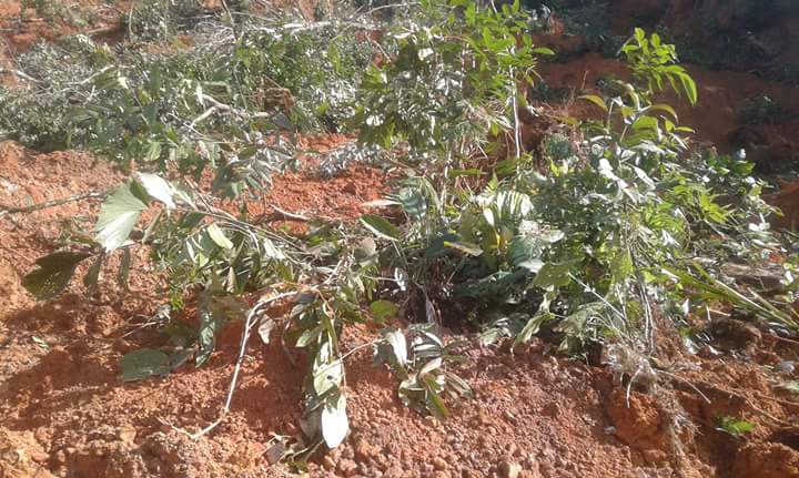 Deslave en vía Méndez-Morona deja a habitantes de la frontera incomunicados