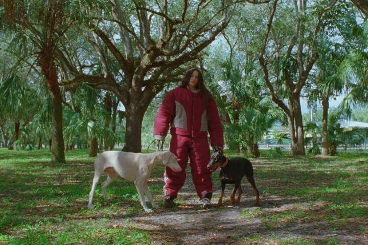 Captura de pantalla del videoclip.