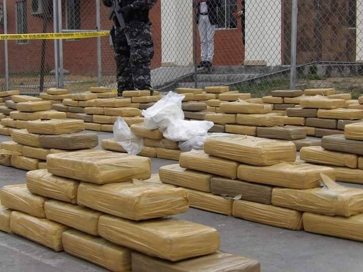 Policía decomisó 600 kilos de droga escondida en dos contenedores en Guayaquil