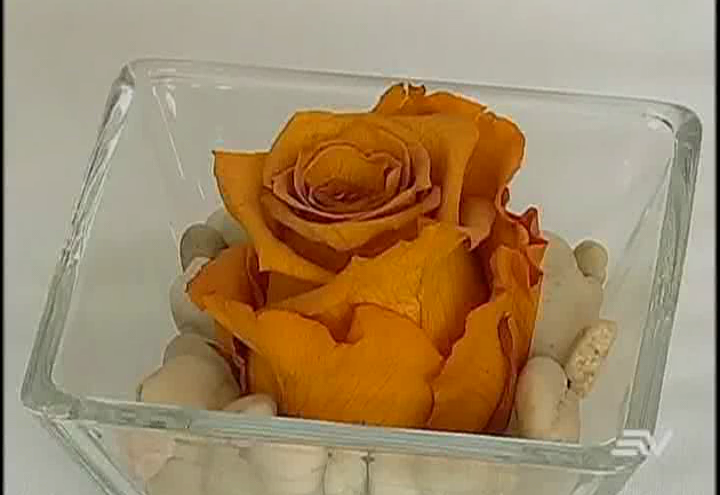 VIDEO) Las flores ecuatorianas que perduran para siempre VIDEO) Las flores ecuatorianas que perduran para siempre