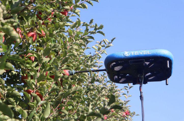 Uno de los drones de TEVEL cosechando un fruto en una granja de Israel.