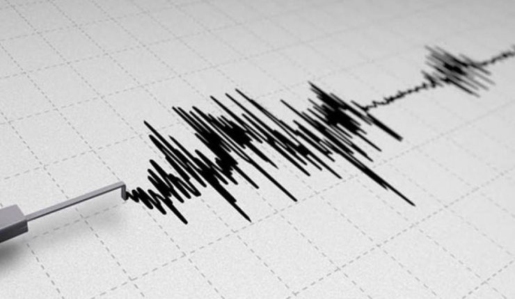 Sismo sacude Argentina y varias partes de Chile