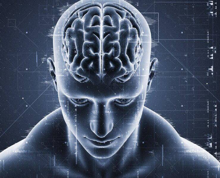 Imagen de referencia.