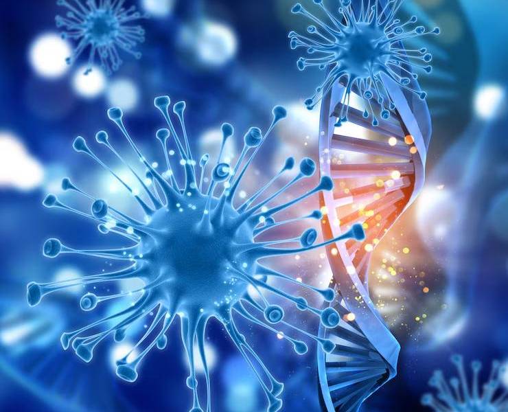 Imagen de referencia.