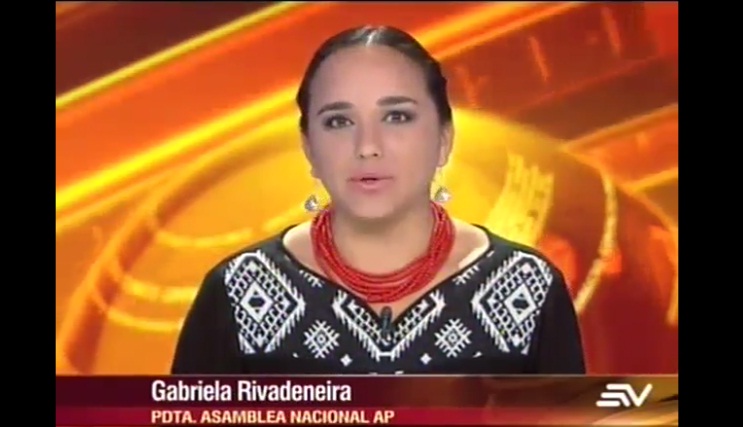 Rivadeneira dejó clara la diferencia entre ser asambleísta y militante de AP