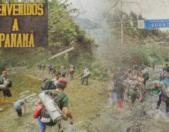 Thicket on the banks of the Alster in Hamburg, Germany