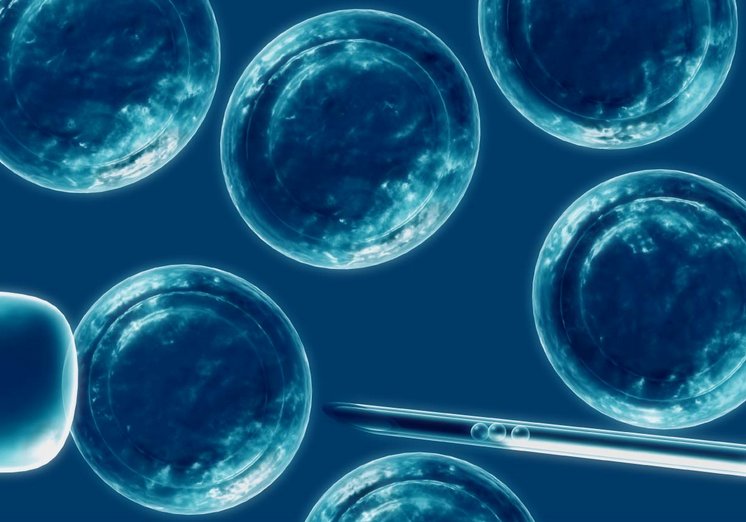MSP prohíbe el funcionamiento de bancos de células madre