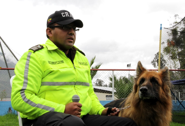 33 perros policías que serán dados de baja buscan un hogar