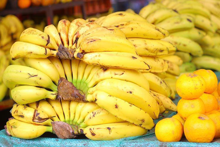 Sector bananero de países de Latinoamérica pide corresponsabilidad en costos