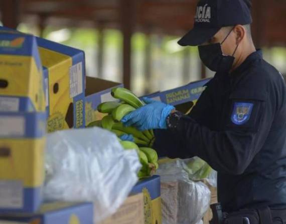 La Policía revisa un cargamento con banano donde se ha detectado indicios de contaminación de droga.