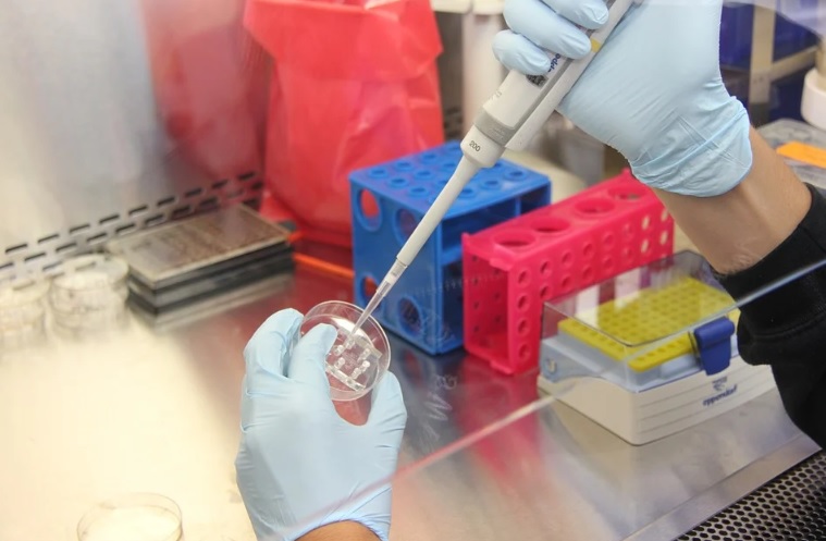 La nueva droga que prueba con éxito uno de los máximos expertos del mundo en coronavirus