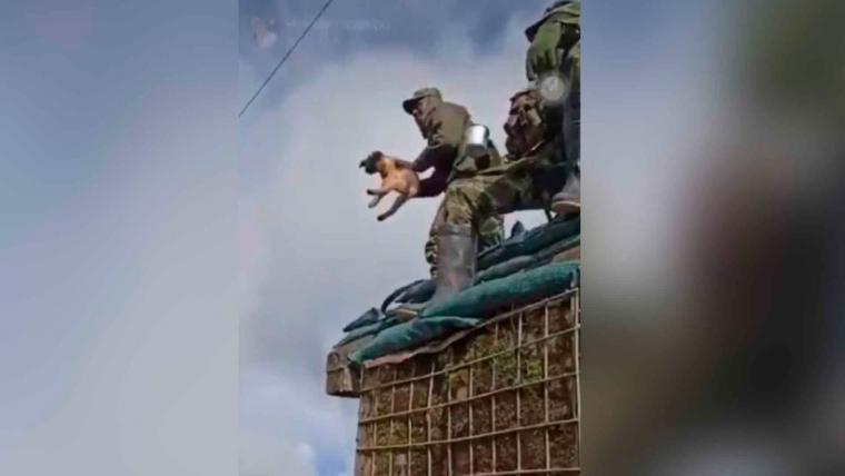 Colombia: soldado lanza al vacío a un perro