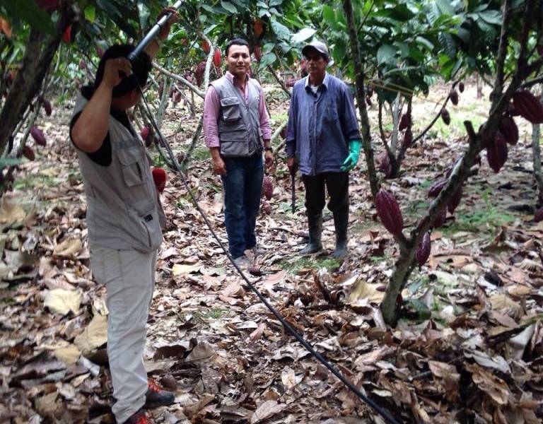 Ecuador Sobre Ruedas: Conozca al &#039;Señor del Gran Cacao&#039;