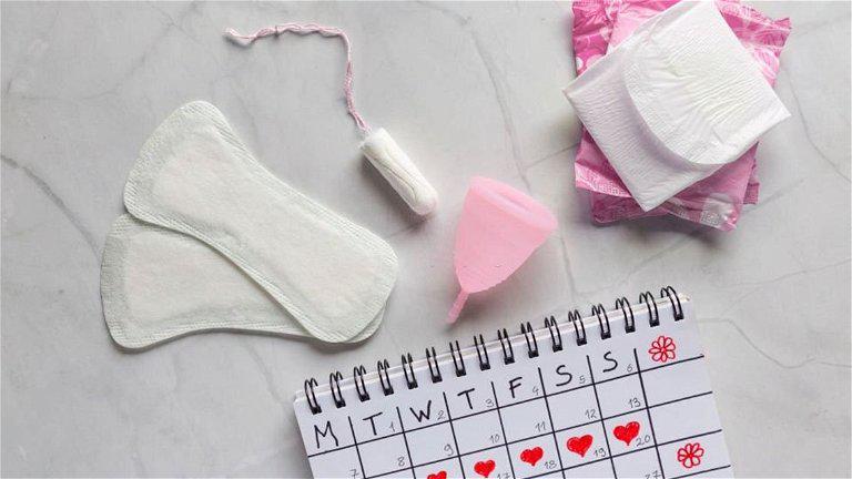 La regularidad de un ciclo menstrual de una mujer la puede hacer proclive a desarrollar enfermedades cardiovasculares.