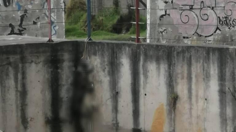 Ecuentran a dos perros colgados con una soga en un barrio de Quito