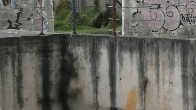 Ecuentran a dos perros colgados con una soga en un barrio de Quito