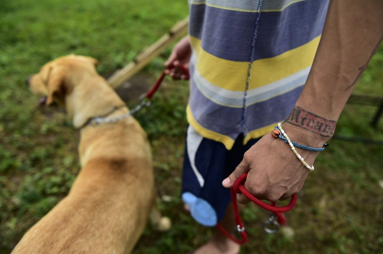 FOTOS: Ladridos contra el estrés, terapia canina en cárceles de Ecuador