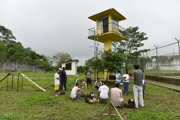 FOTOS: Ladridos contra el estrés, terapia canina en cárceles de Ecuador