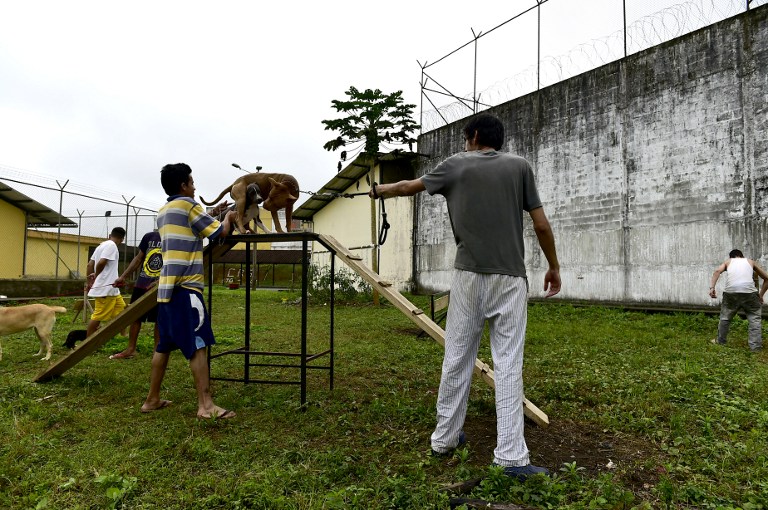 FOTOS: Ladridos contra el estrés, terapia canina en cárceles de Ecuador