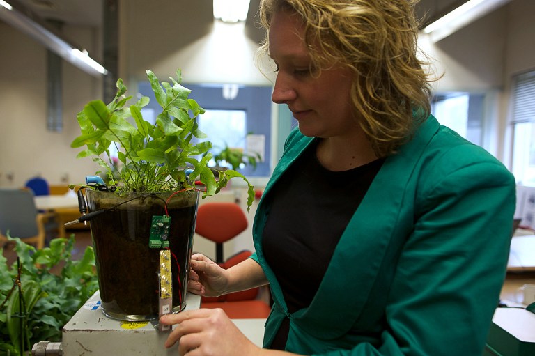 Plantas que producen corriente, un sueño que cobra vida